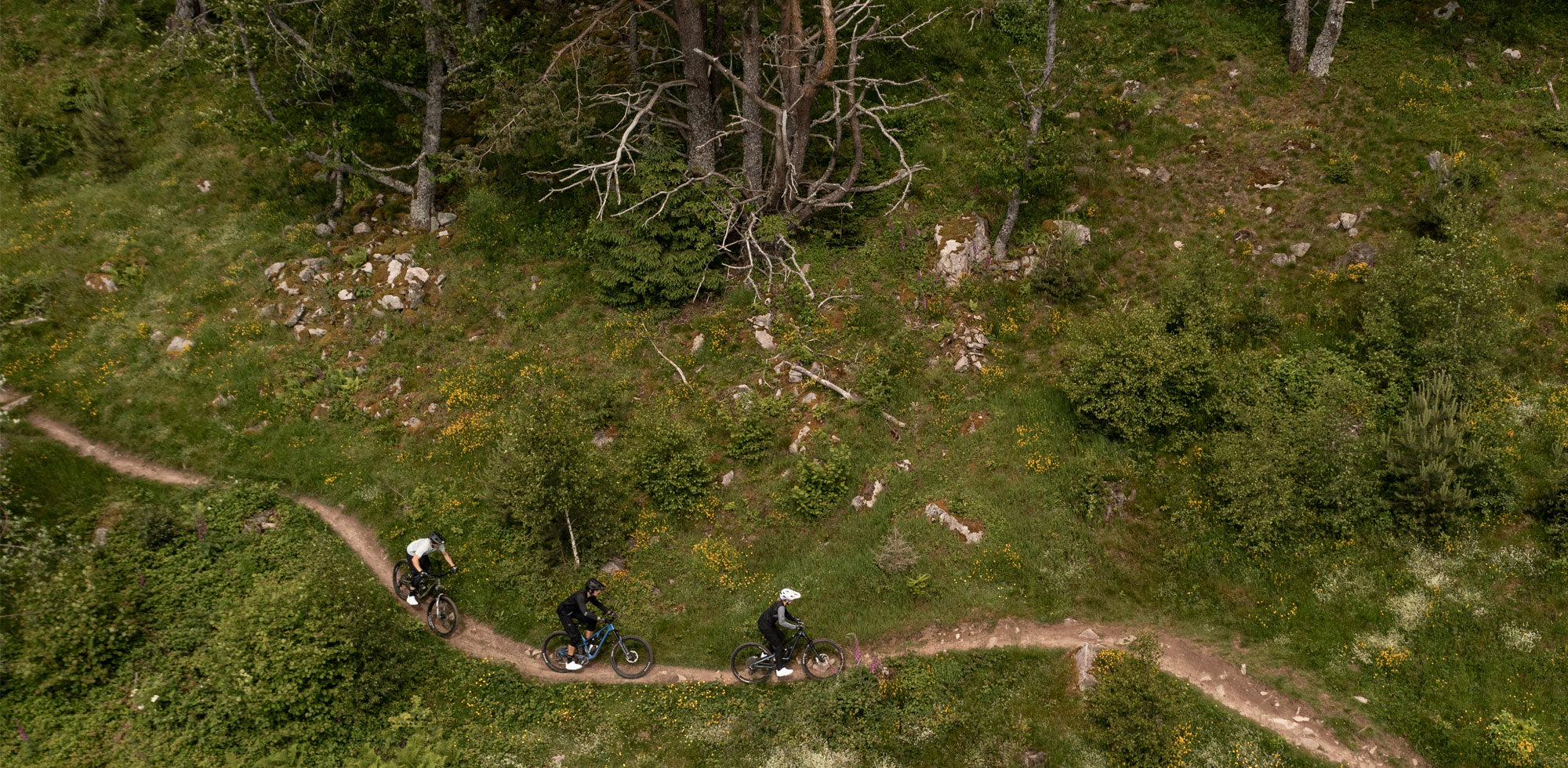 Luftaufnahme von drei Radfahrern, die mit ihren Mountainbikes auf einem gewundenen Feldweg durch ein grünes, bewaldetes Gebiet mit Bäumen, Felsen und Grasflächen fahren.