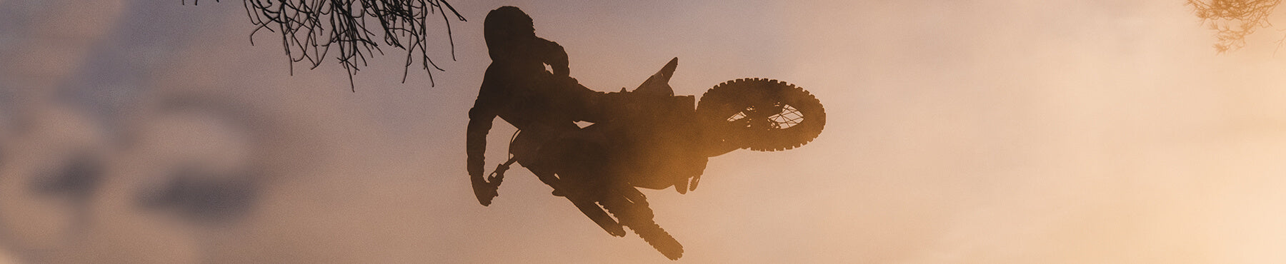 Silhouette einer Person, die vor einem dämmrigen Himmel auf einem Motocross-Motorrad einen Luftstunt ausführt. An den Rändern sind teilweise Äste sichtbar.